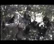 Toten Airsoft Reenactors game 2006 Op Fortitude