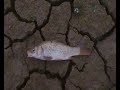Caught on slug