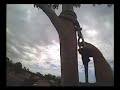Helmetcam spottygum tree removal