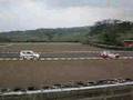 jazz one make race sentul