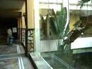 Tour of Chime-Long Hotel, China, the White Tigers Hotel