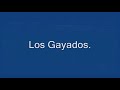 walter gaitan VS. gayados walter gaitan VS. gayados