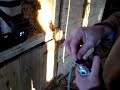 What we found in the barn 1