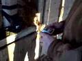What we found in the barn 1