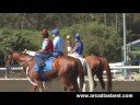 Arcadia's Best: Curlin tests Santa Anita track