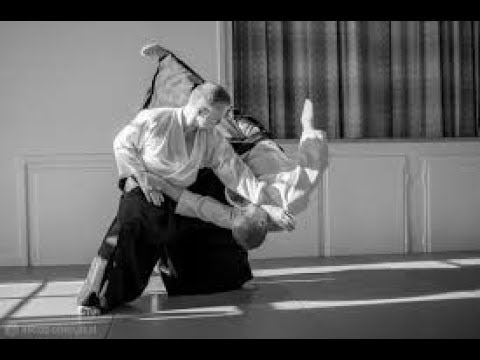 Aikido vs Aikido Randori. Рандори. 18.12.17