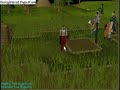 funny glitches in runescape