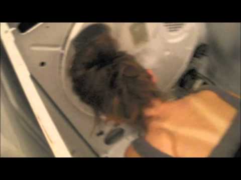how to change belt on whirlpool dryer