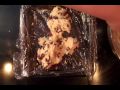 Napolitano Holiday Christmas Cookies