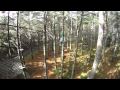 Tree Adventures 12 June 2010 HD