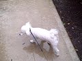 VID00001.AVI