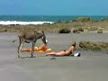 Two Girls One Ass Two Girls One Ass