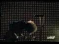 wolfmother-love-trai