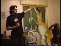 il mio dinosauro domestico francescorungo il mio dinosauro domestico francescorungo