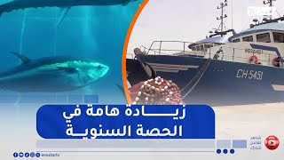 التونة العنيدة..الجزائر تسترجع حصتها من الصيد