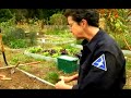 Basic Gardening Tips : Types of Herbs Basic Gardening Tips : Types of Herbs