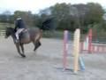 videos de 4 yrs 14 hh Bay Welsh Sec D Stockport