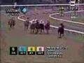 Medaglia D'Oro - 2002 Jim Dandy Stakes