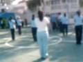 videos de porristas de los osos