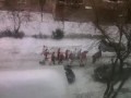 Video0002.mp4