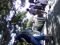 liel twina