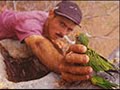 Capturas de loros
