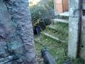 videos de xtreme paintball jogo da casa
