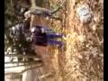 Video0005