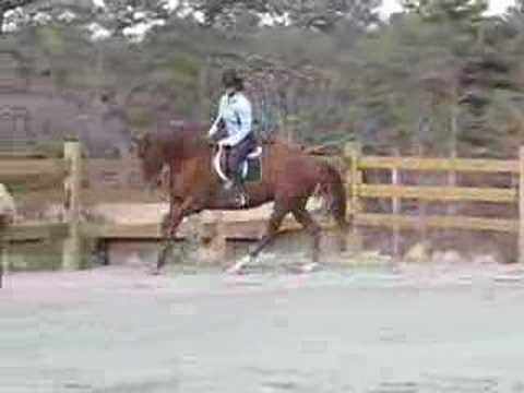 scrabble cheat scrabble cheat