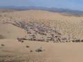 videos de Glamis Thanksgiving  2008 Part 2.wmv