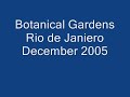 Rio de Janiero Botanical Gardens December 2005