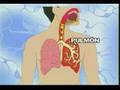 Como-dejar-de-fumar-