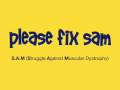 www.pleasefixsam.com