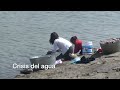 Crisis ecológica en agua, tierra y aire