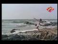  - MovieZen Video