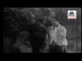  - MovieZen Video