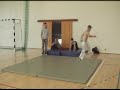 FF Tricks - Folha Secca
