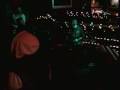 videos de ficus - live by hcproductions org