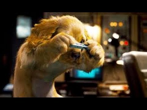 Como Perros Y Gatos 2 La Revancha De Kitty Galore Película Completa en Español Latino
