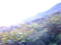 Sotano de las golondrinas 2