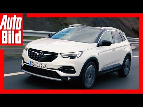 Opel Grandland X (2017) Fahrbericht/Test/Erklrung/Details