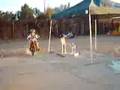 dirtbike-wheelie