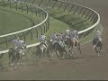 1999 Whitney Handicap - Victory Gallop