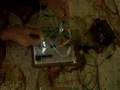 breadboard melodromatron