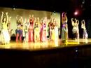 bellydance en lomas verdes p 4