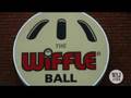 Wiffle Ball 55 and Still Going Strong