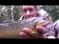 Britian in Cold Blood - The Brown Trout