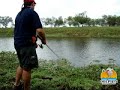 Tarariras con señuelos Heddon Tarariras con señuelos Heddon