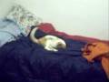 videos de Hurricane