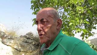 a Visit to Khirbat al-'Umur / סיור הכנה לח'רבת אלעמור / جولة تحضيرية في خربة العمور a Visit to Khirbat al-'Umur / סיור הכנה לח'רבת אלעמור / جولة تحضيرية في خربة العمور